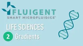 Migrating cells in gradients - Satoshi Sawai