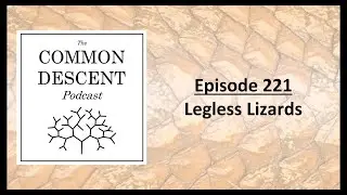 Episode 221 Legless Lizards