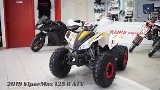 2019 ViperMax 125 R ATV