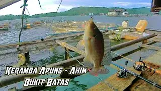mancing nila liar riam kanan terbaru // keramba Ahim - bukit batas