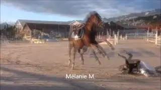 chute a cheval