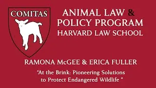 At the Brink: Pioneering Solutions for Endangered Wildlife