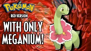Meganium Solo Run - Pok&eacute;mon Red