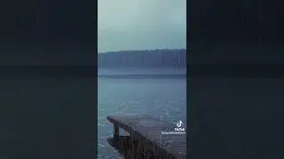 Real Nature #asmr #rain #relax #meditation #sleep #best #дождь #погода #расслабление #shorts