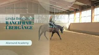 Transitions in the Ranch Rail