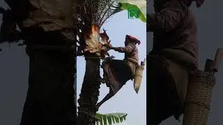 প্রকৃতিতে হেমন্ত ঋতু এসেছে | cittomedia