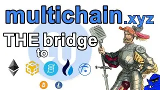 Multichain XYZ - Bridge to ALL the blockchains - Walkthrough