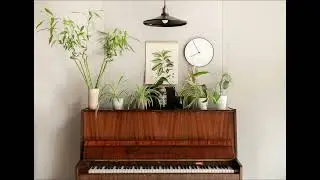 Cozy Study Lofi ☕ | Calm Music for Focus & Productivity