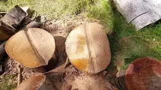 log holder or ( stick or  pole ) for fire wood 🪵