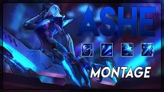 Ashe Montage 
