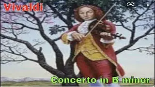 Vivaldi Concerto for 4 Violins at The Palace of Fine Arts San Francisco with Tomplay