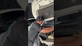 Alpino full system innova 2GD #alpino #alpi#alpinoexhaustsystem #innovareborn #innova2gd
