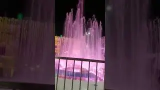 Nankana Sahib on Gurunanak,s 553 birthday