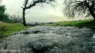 Pure Spring Water Flowing Sounds 🌊 Deep Relaxation, Calm Mind, Meditation & Stress Relief.