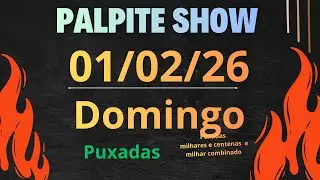 Palpite show dia 01/02/26 Domingo com n&uacute;meros e M. C. P