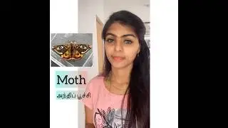 Name of insects #shortsfeed #shorts#englishlearning #shorttrending #englishvocabulary #learning