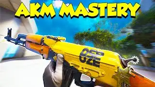 This Is What INSANE Aim Looks Like Using The AKM - The Finals