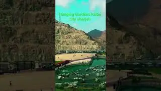 Hanging Gardens kalba city sharjah  UAE 🇦🇪