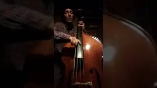 Preciso me Encontrar(Cartola)  cover #intimas #bassvoice #realsound #contrabajo #uruguay