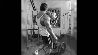 #arnoldschwarzenegger#beast #boss#bodybuilding #hardwork #gymmotivation#bodybuildingnation#training