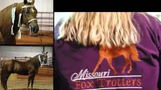 2015 MFTHBA Stallion Tour HD 720p