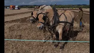 Seamer Ploughing Contest 2024