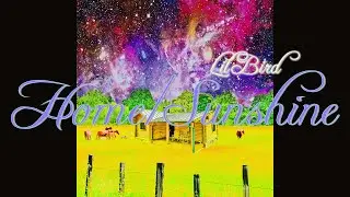 Lil Bird - Home/Sunshine