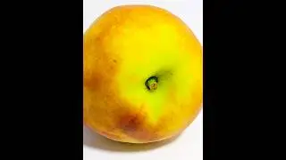 Rotting Peach Timelapse #Shorts