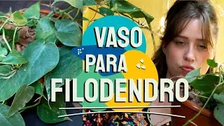 Como FAZER um VASO para FILODENDRO CORAÇÃO | PLANTANDO BANANEIRA