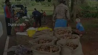 Digital Agriculture Platforms in India