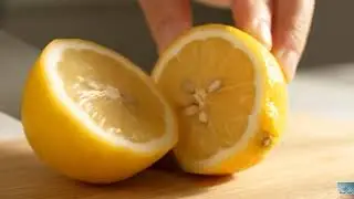 Surreal Bubblegum Fruit Slicing ASMR: Elastic Bites in Macro! #ASMR #macro #fruits #bubblegum #satis