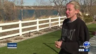 Westminster dog attacked and killed by bald eagle, family says