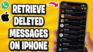 How To Retrieve Deleted Messages On Whatsapp On iPhone