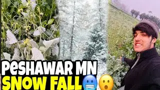 PESHAWAR MAIN PEHLI BAAR SNOW FALL 😱❄️ | YAQEEN NHI AAYEGA AISA MAUSAM!