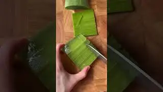 Aprende a usar la s&aacute;bila en un batido saludable #aloevera #sabila