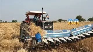 Reaper Plus Binder Pakistani Agricultural Machine Cutting Wheat