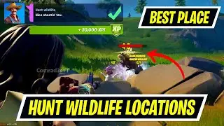 [Best Location] Hunt wildlife location Fortnite