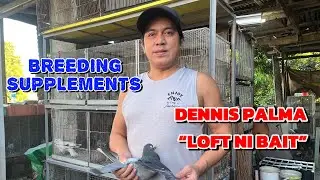 BREEDING SUPPLEMENTS AND TIPS!  &ldquo;DENNIS PALMA AKA LOFT NI BAIT&rdquo; PART 2