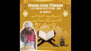 قرآن پاک کی براہ راست تلاوت | LIVE Quran Tilawat | فجر کے بعد | Awais Reels