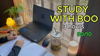 #116: ☀️ 3 HOURS STUDY WITH ME 🔥 | Sunny Day | Pomodoro 50-10 | Real Time | Fire Crackling Sound