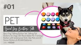 Talking Pet Buttons for Dogs 30s Recordable Pet