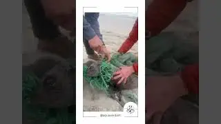 We have to do better with our oceans. #plasticwaste #reduceplasticwaste #wasteplastic #plasticswaste