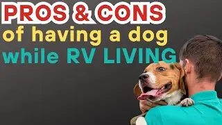 Pros & Cons of Having a Dog While RV Living 🚐 Traveling, Boondocking & Nomad Life Tips - S10.E124