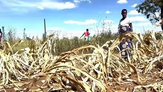 Billions of people live with out access to safe drinking water and sanitation according to UN