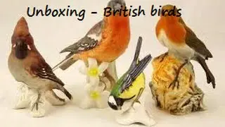 Unboxing - British bird models