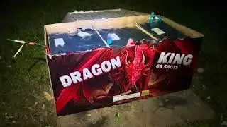 Dragon King 66 Shots 1.75”