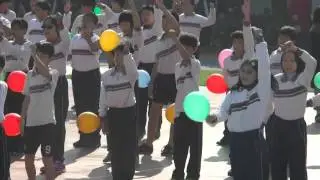 臺中市大里區內新國小59週年校慶健康操表演