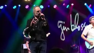 gin blossoms.  Allison Road