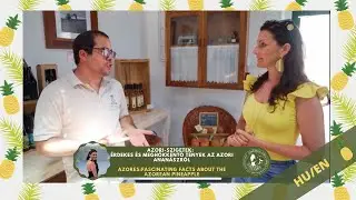 Fascinatig facts about the Azorean pineapple (HU/EN)