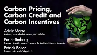 Carbon Pricing, Carbon Credit and Carbon Incentives
